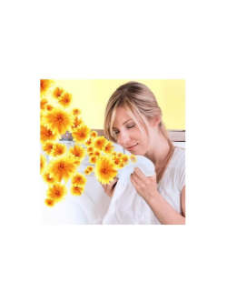 Lenor - Spray liberador de arrugas que elimina las arrugas en la tela, aroma de brisa de verano duplo 2 unidades de 500 ml