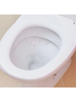 Pack 9 sobres x 100gramos Polvo activo limpiador espumoso para inodoros Pink Stuff The Miracle Foaming Toilet Cleaner